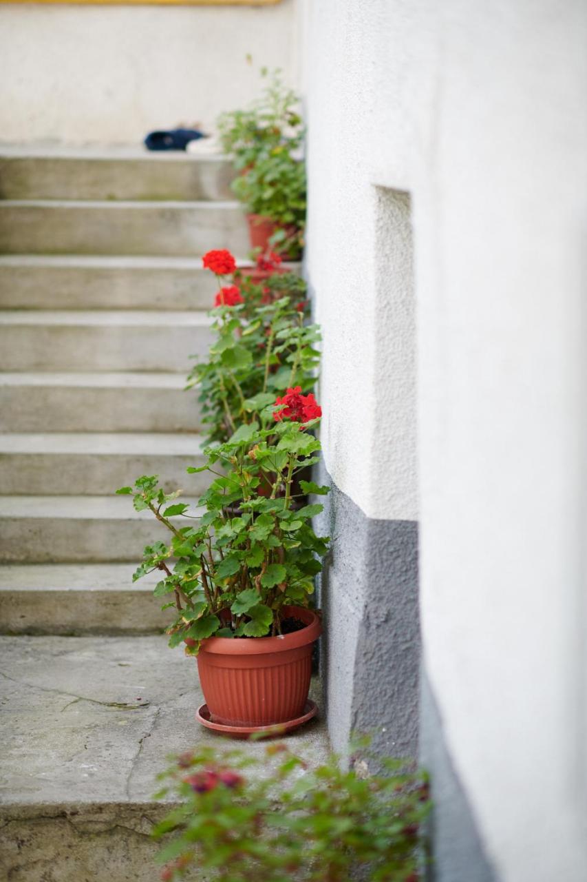 Lovely House Apartment SJJ Exterior foto
